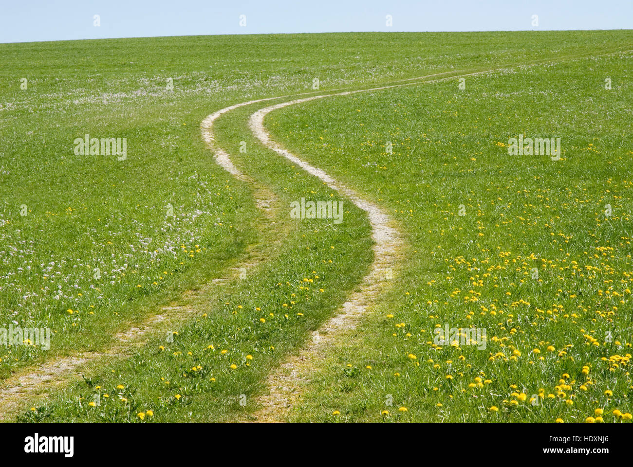 Path through a field in spring, Steyr, Upper Austria, Austria, Europe Stock Photo