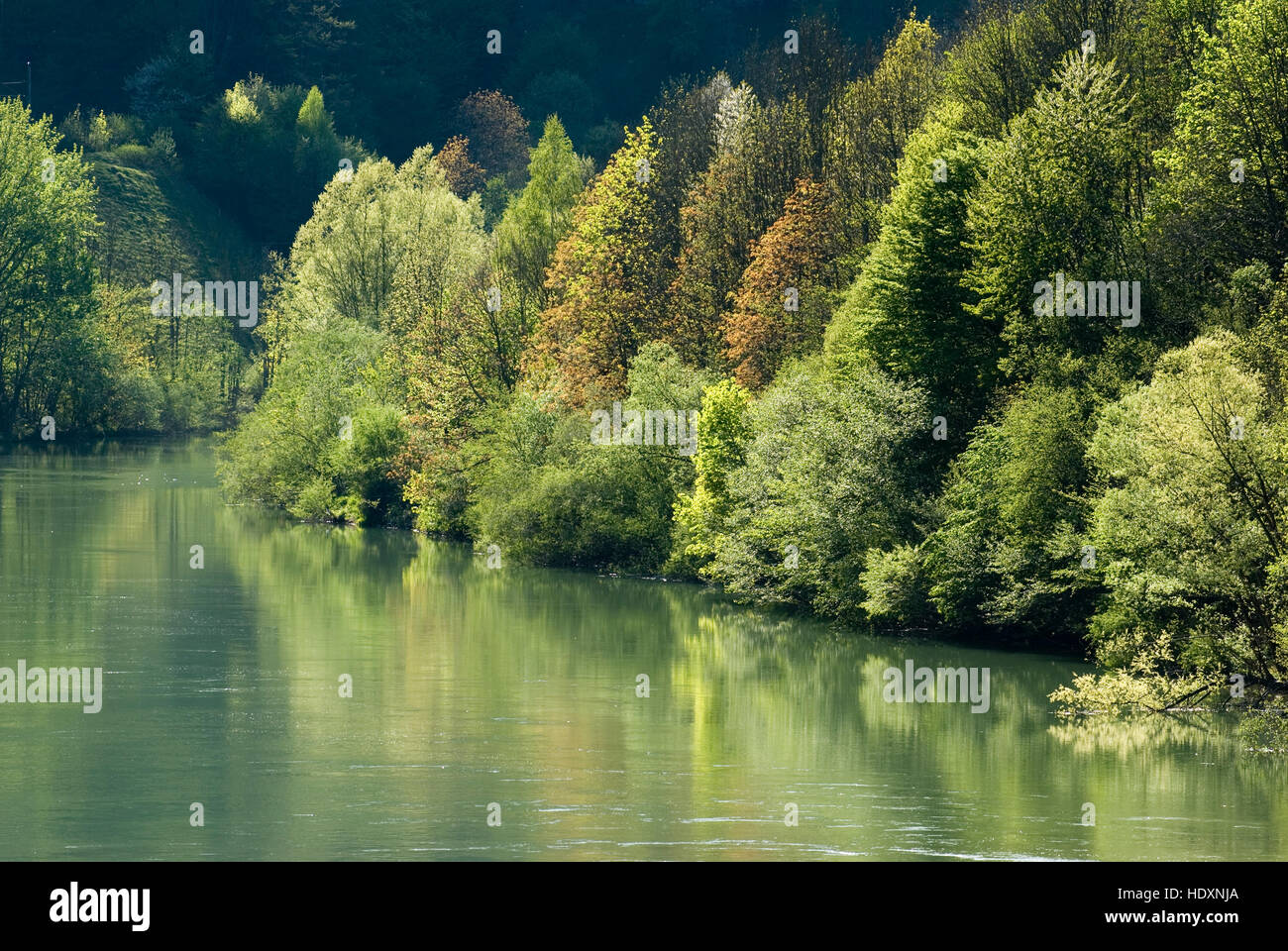 Enns River backwater, Losenstein, Upper Austria, Austria, Europe Stock Photo