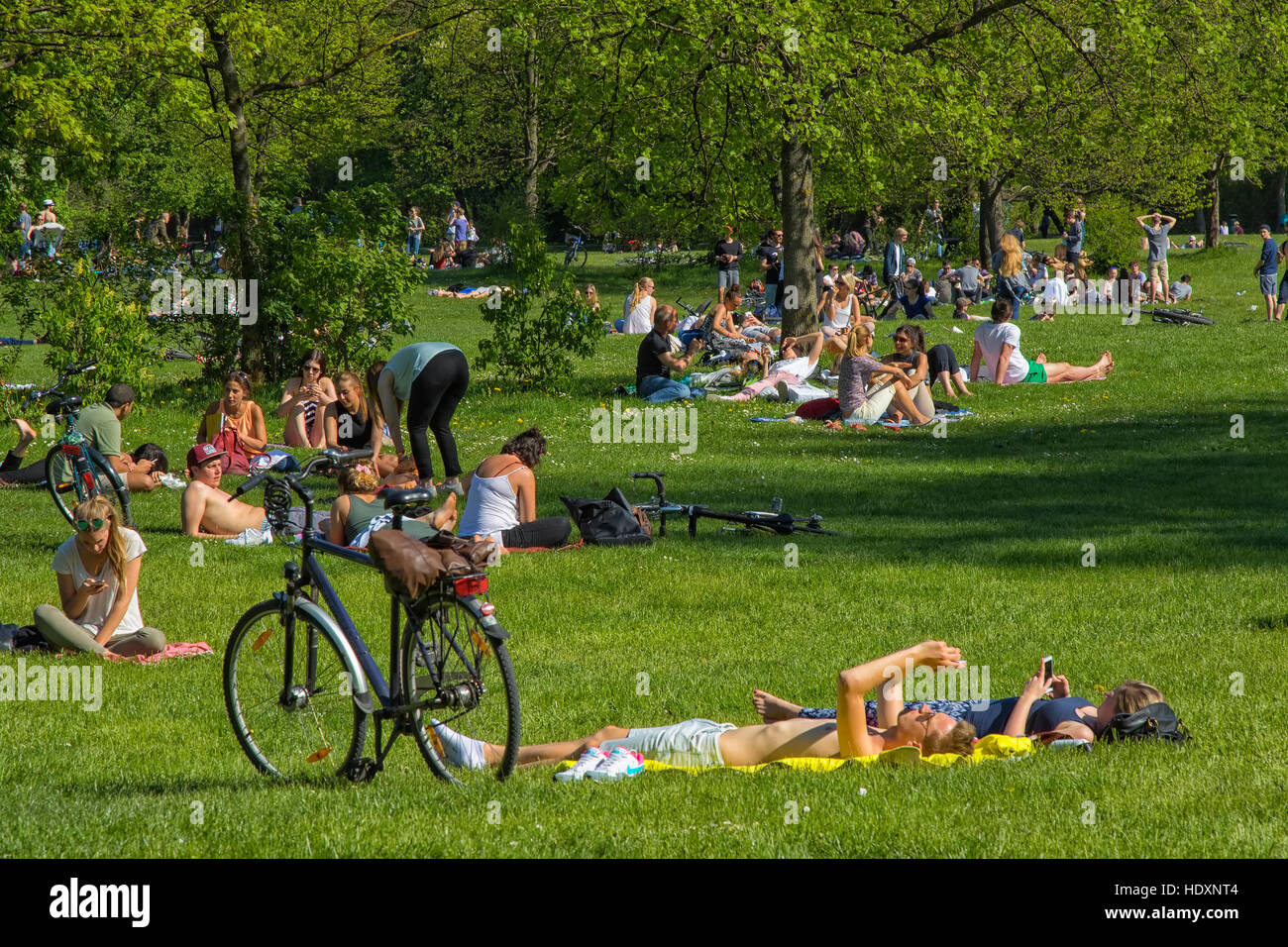 Englischer Garten park in Munich Stock Photo Alamy