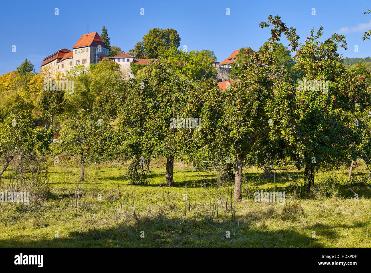 Creuzburg castle with fruit trees in Creuzburg, Thuringia, Germany ...