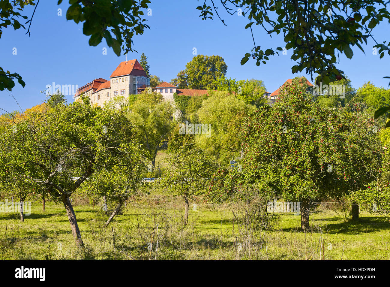 Creuzburg castle with fruit trees in Creuzburg, Thuringia, Germany ...