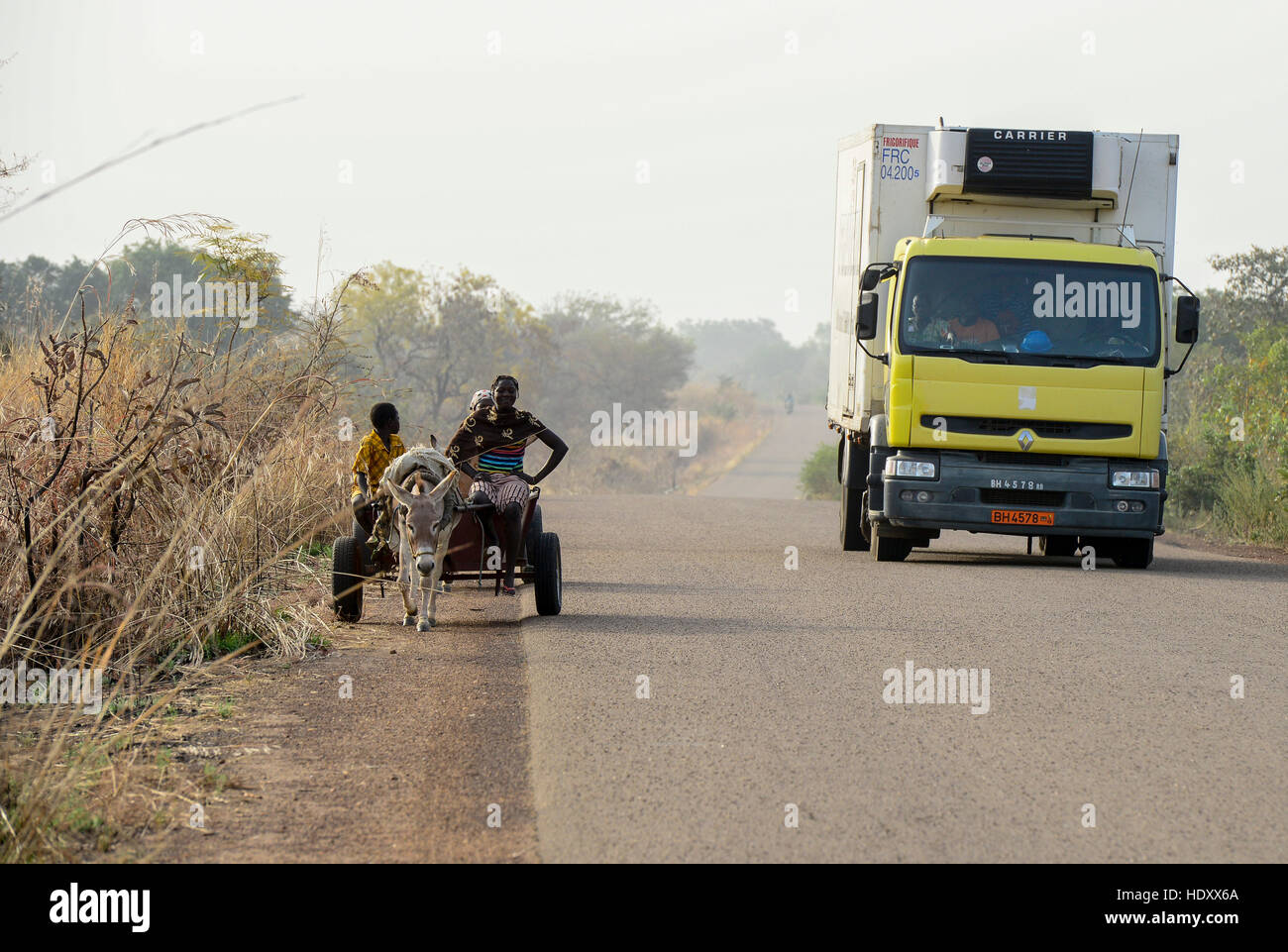 BURKINA FASO , Fada N´Gourma, rural transport with donkey wagon / laendlicher Transport mit Eselskarren, donkeys are a target by Chinese buyers for export to produce gelantin from donkey skin to extract Ejiao for Traditional Chinese Medicine TCM Stock Photo