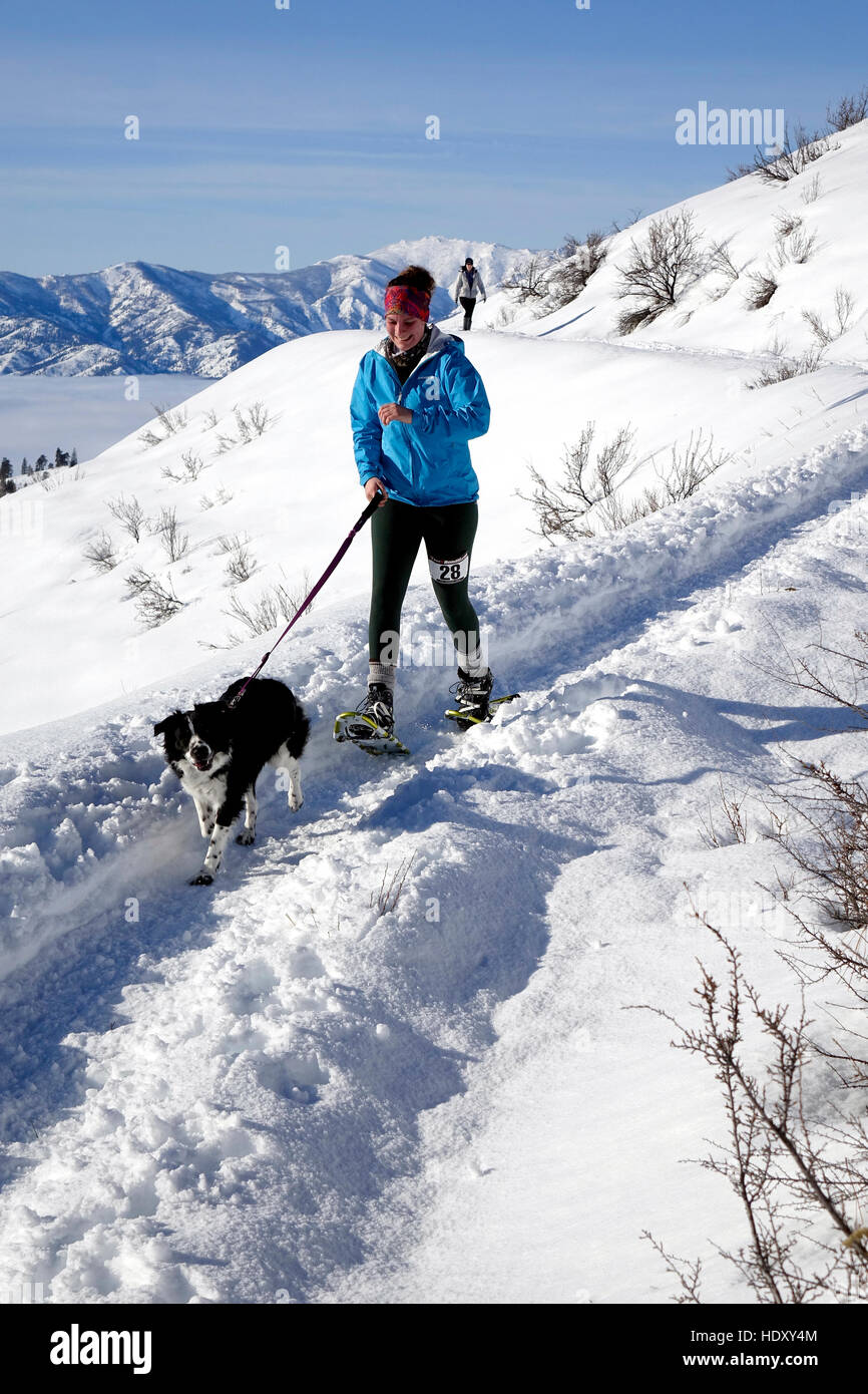 Snowshoe exercise with dog Stock Photo Alamy