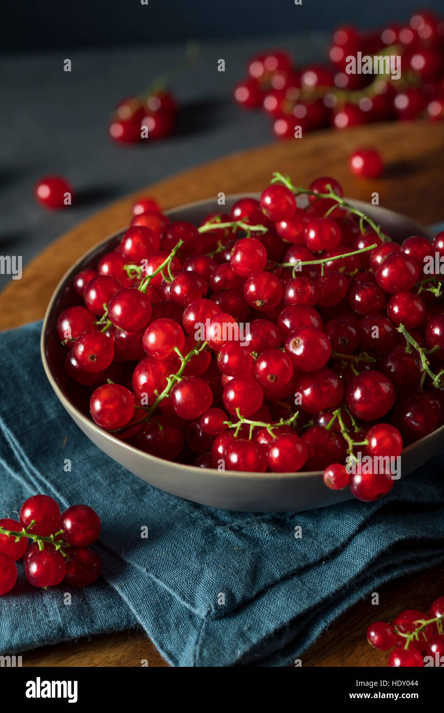 Raw Organic Red Currants in a Bowl Stock Photo
