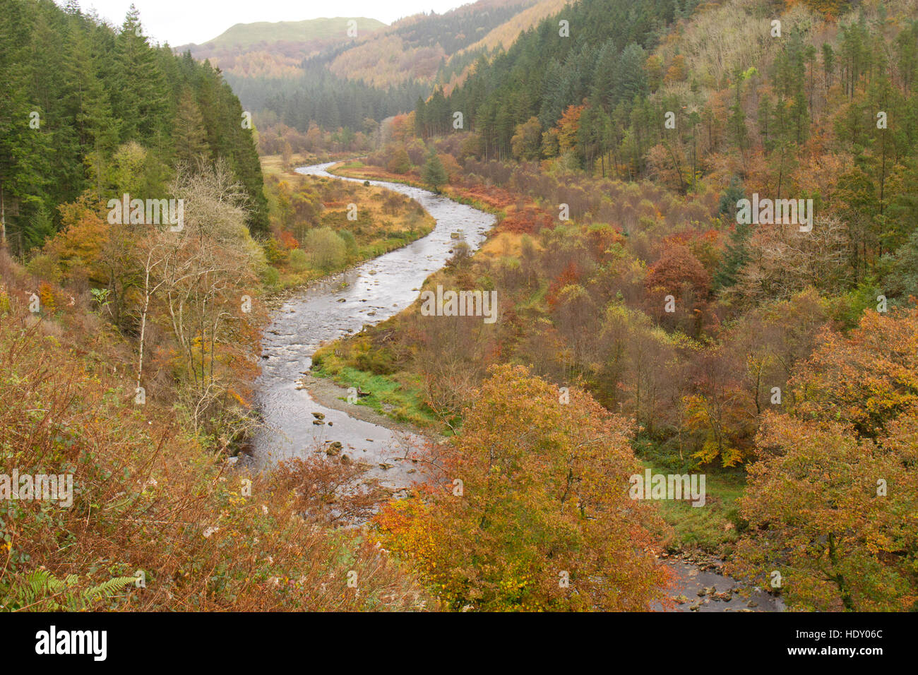 View of the River Ystwyth at The Hafod in Autumn. Ceredigion, Wales. November. Stock Photo