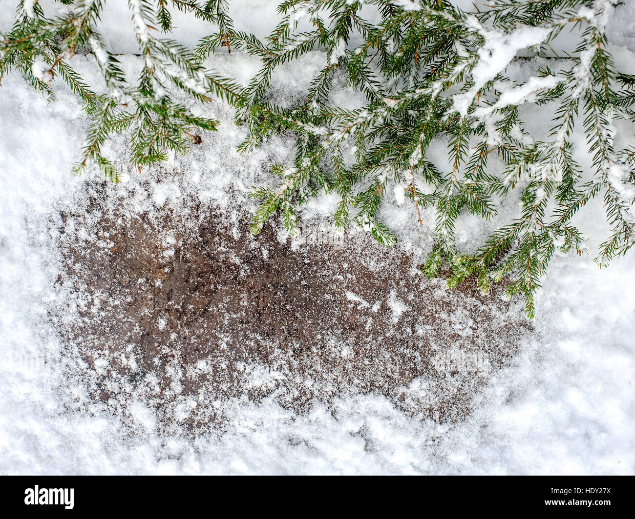 Christmas fir tree on a wooden board with snow, green framework for ...