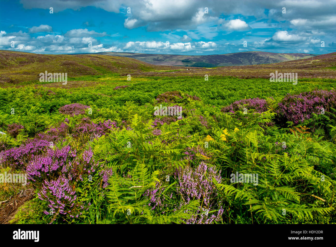 Landscape at Wicklow Mountains in Ireland Stock Photo