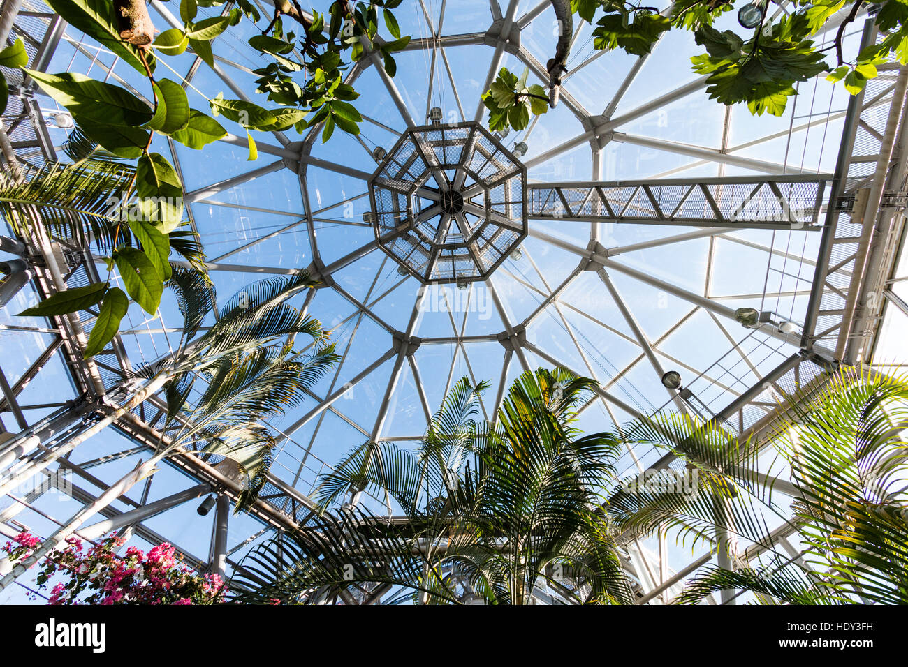 Interior of the Nunobiki herb garden glasshouse, at Rokko mountains ...