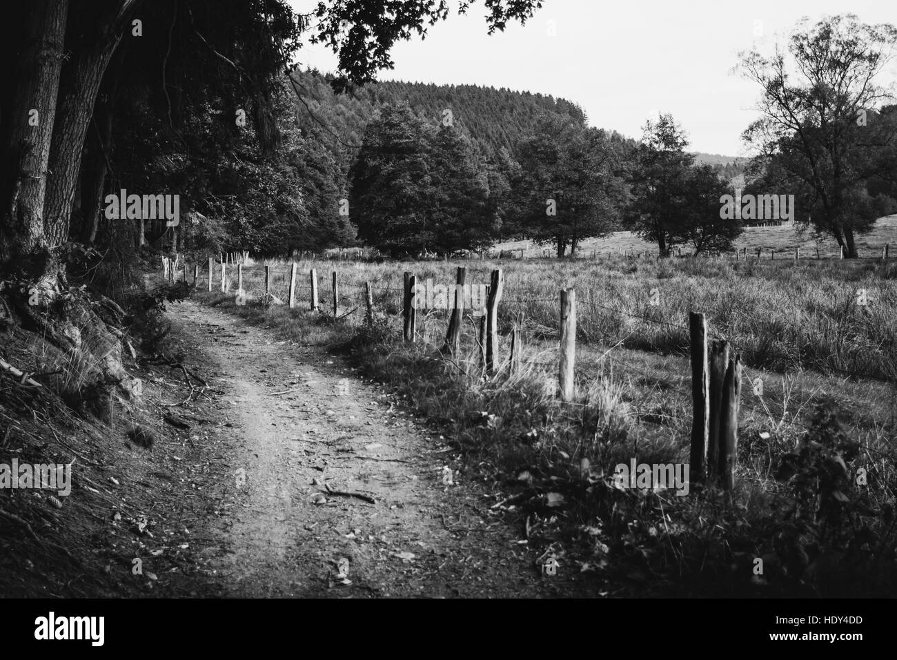 Black and white rural sandy pathway with a fence and forest on the side. Stock Photo