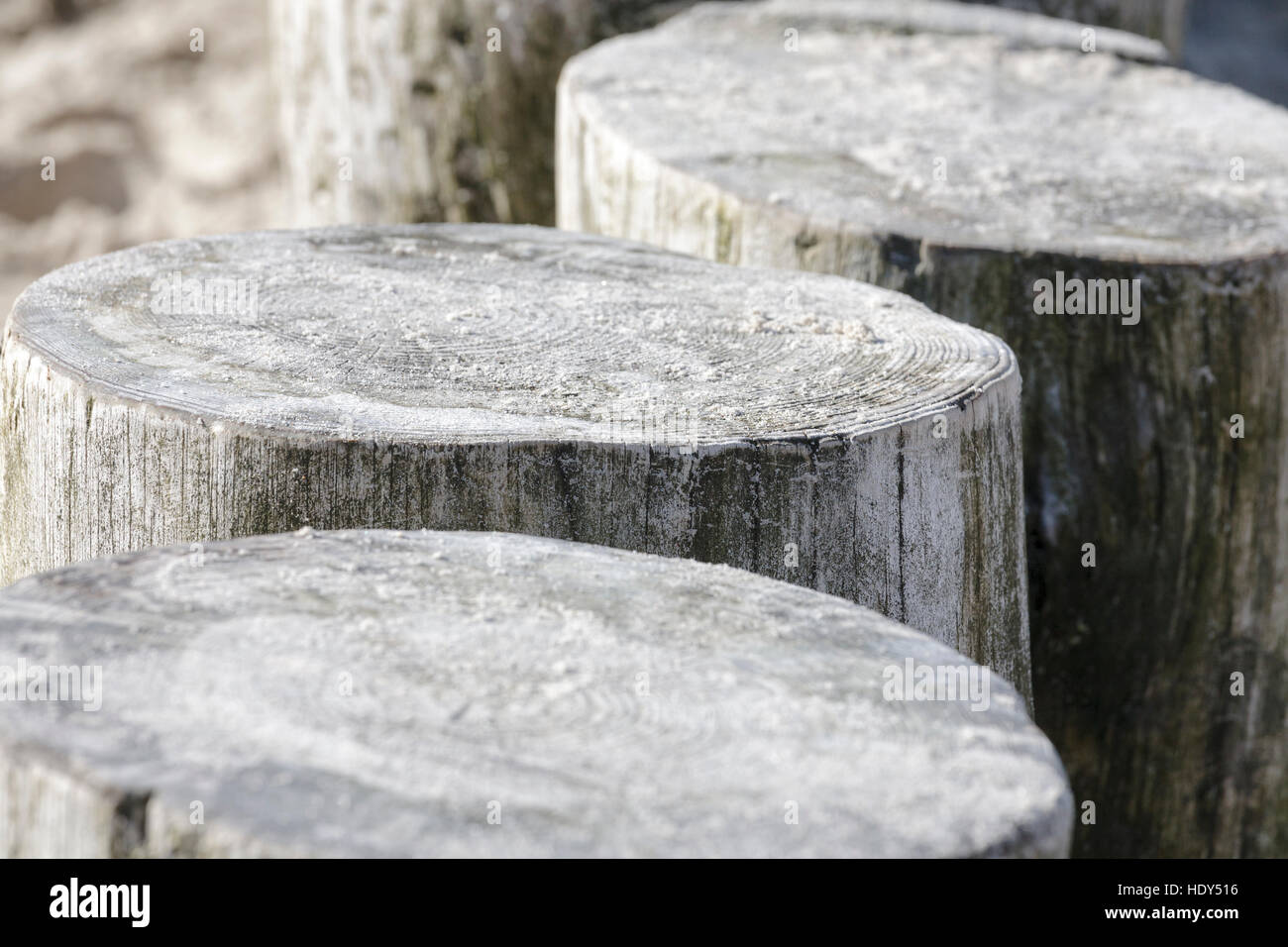 Thick wooden poles lightly showered with sand Stock Photo Alamy
