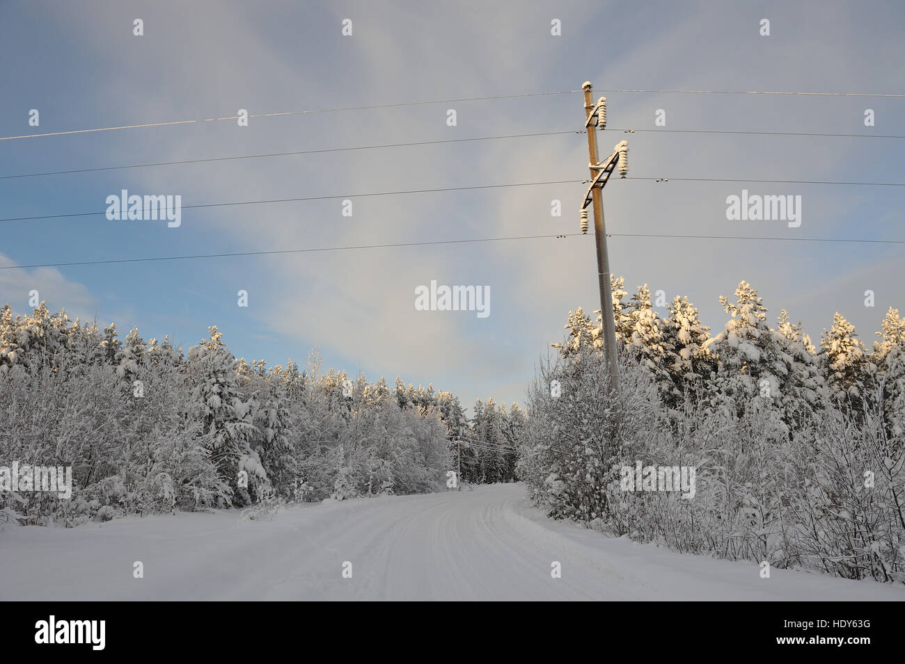 Power lines in the snowy frosty forest Stock Photo - Alamy