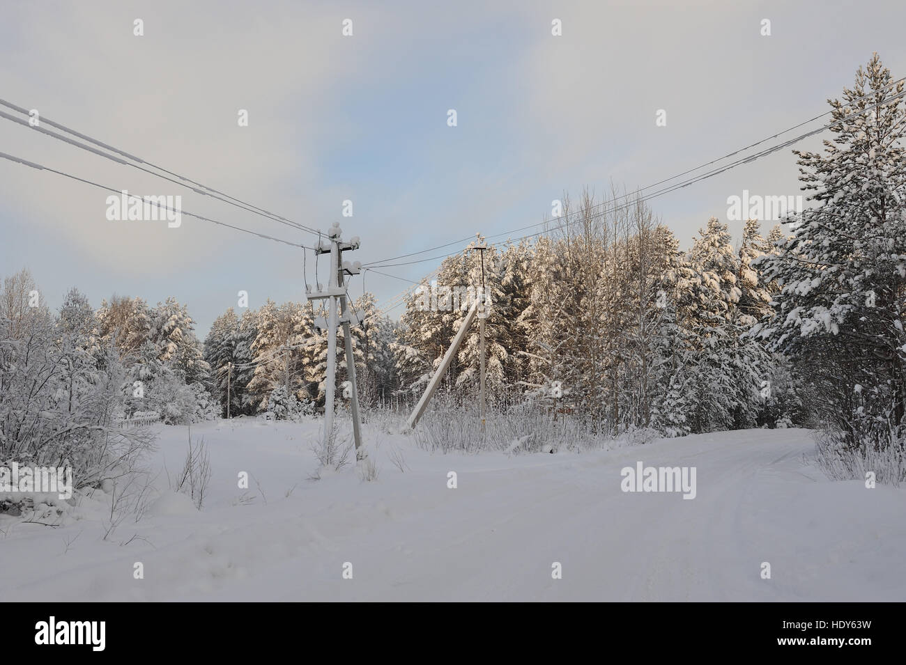 Power lines in the snowy frosty forest Stock Photo - Alamy