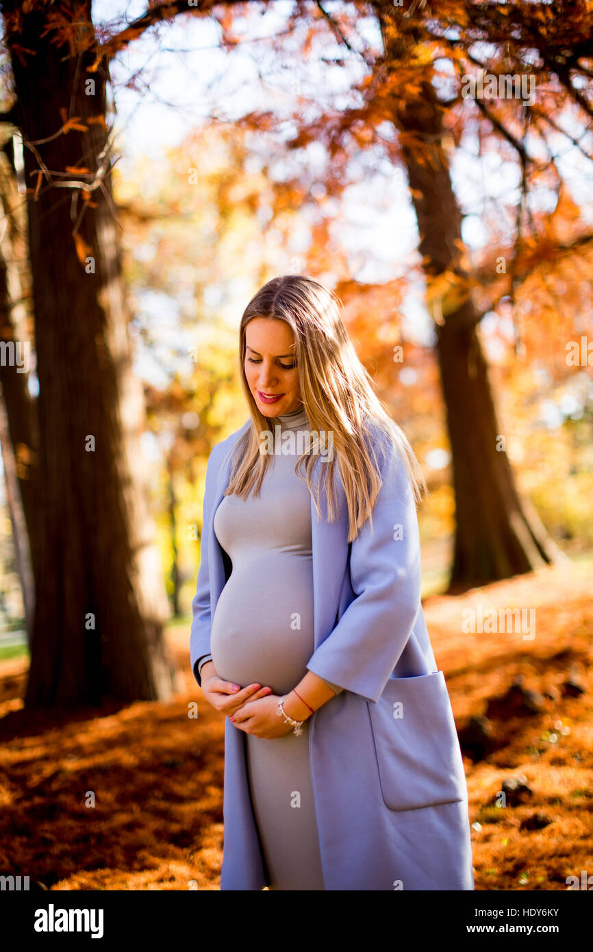 View at young pregnant woman posing in autumn park Stock Photo - Alamy