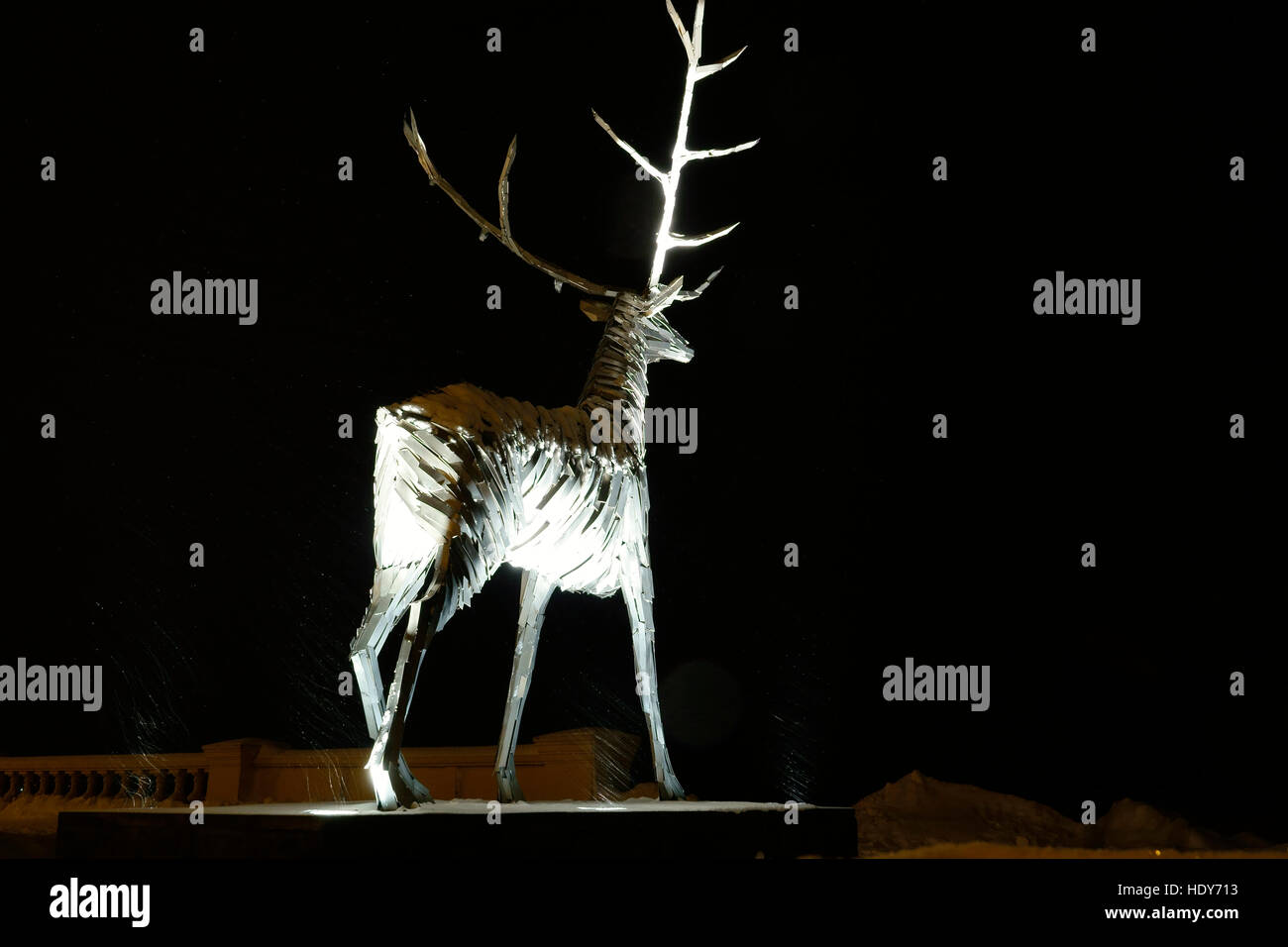 Reindeer Stock Photo