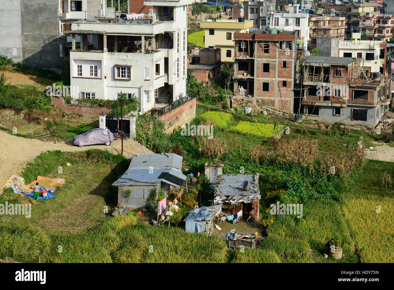 NEPAL Kathmandu, city growth, loss of agricultural fields, a remaining tin-shed hut and paddy fields / Staedtewachstum, Verlust von landwirtschaftlicher Flaeche, letzte Huette und Reisfelder Stock Photo