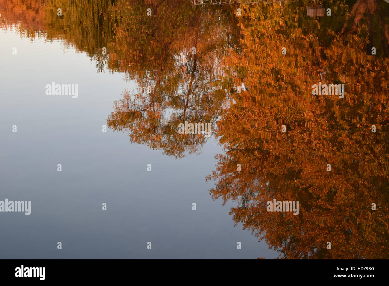 Fall leaves reflection lake hi-res stock photography and images - Alamy