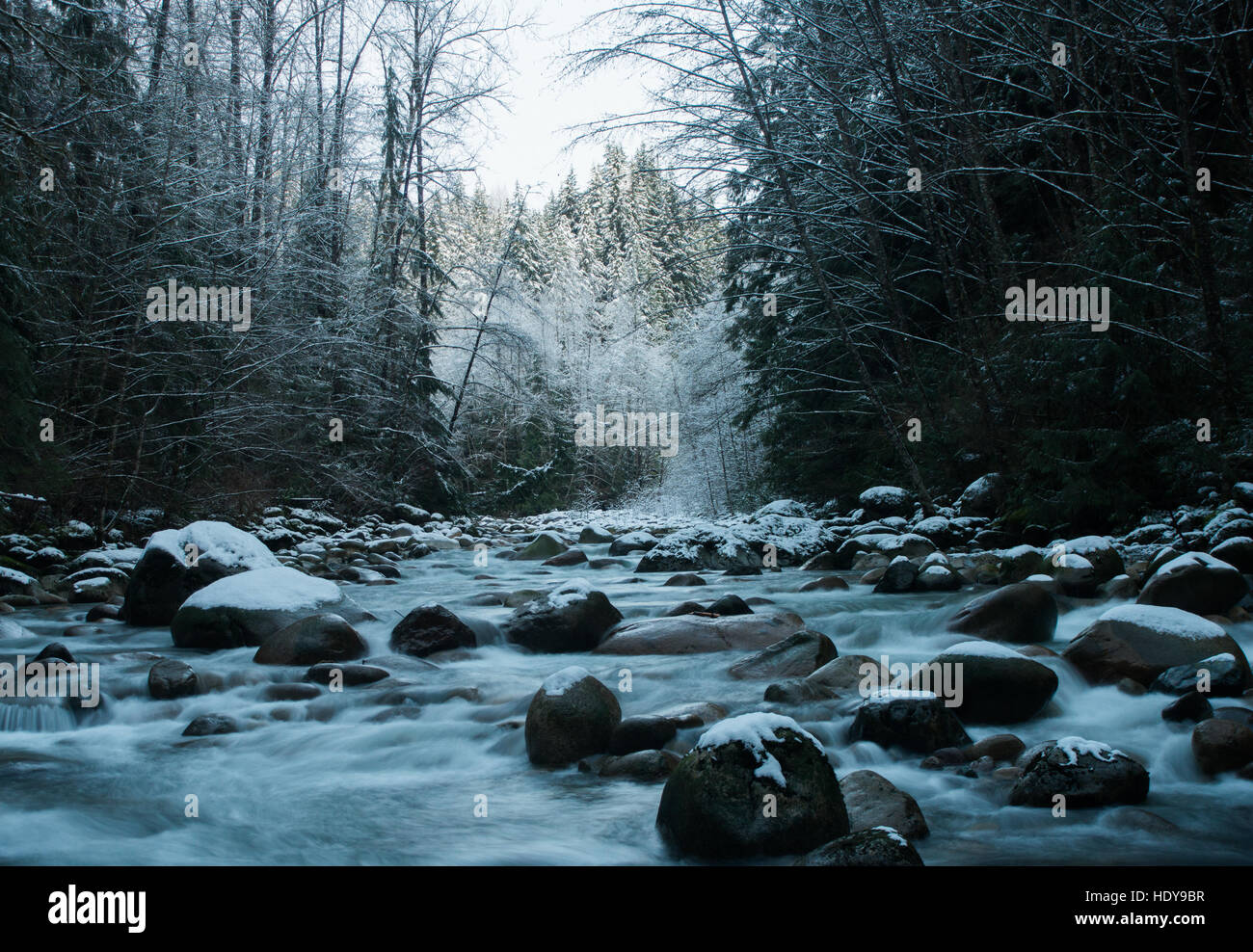 Pacific Spirit Park Hi-res Stock Photography And Images - Alamy