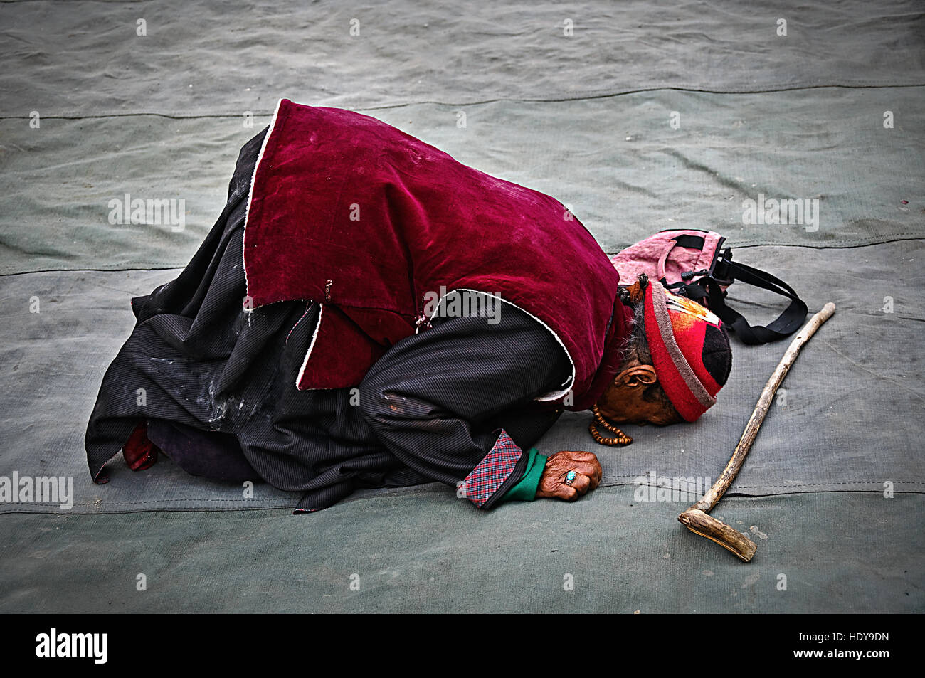 A ladakhi Buddhist religious woman praying on her knees in traditional dress and walking stick Stock Photo