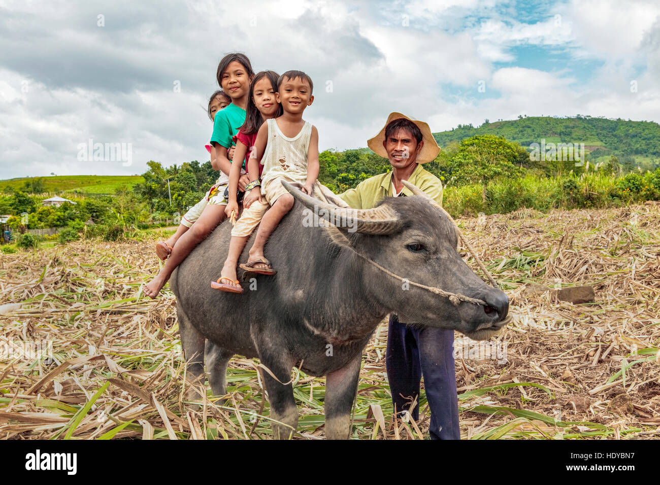 Filipino children ride on the back of their father's carabao, water buffalo, in Ma'ao, Negros Occidental Island, Philippines. Stock Photo