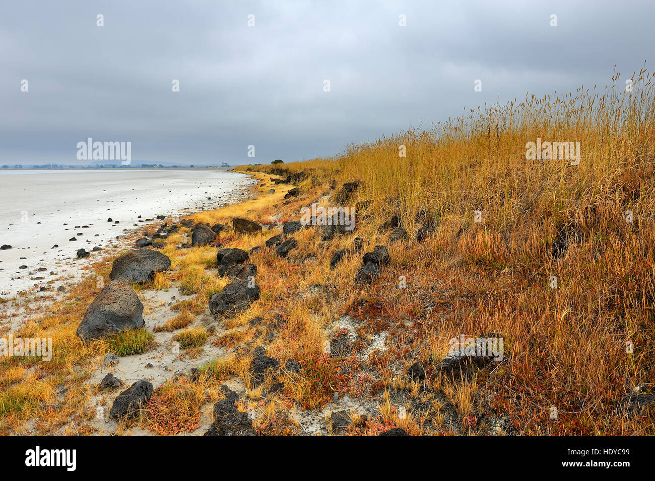 Dried salt lake in Colac, Victoria Stock Photo Alamy