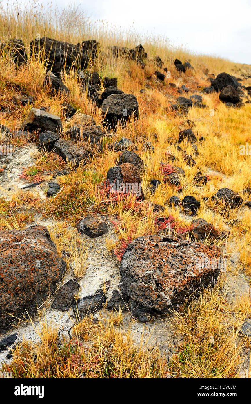 Dried salt lake in Colac, Victoria Stock Photo Alamy
