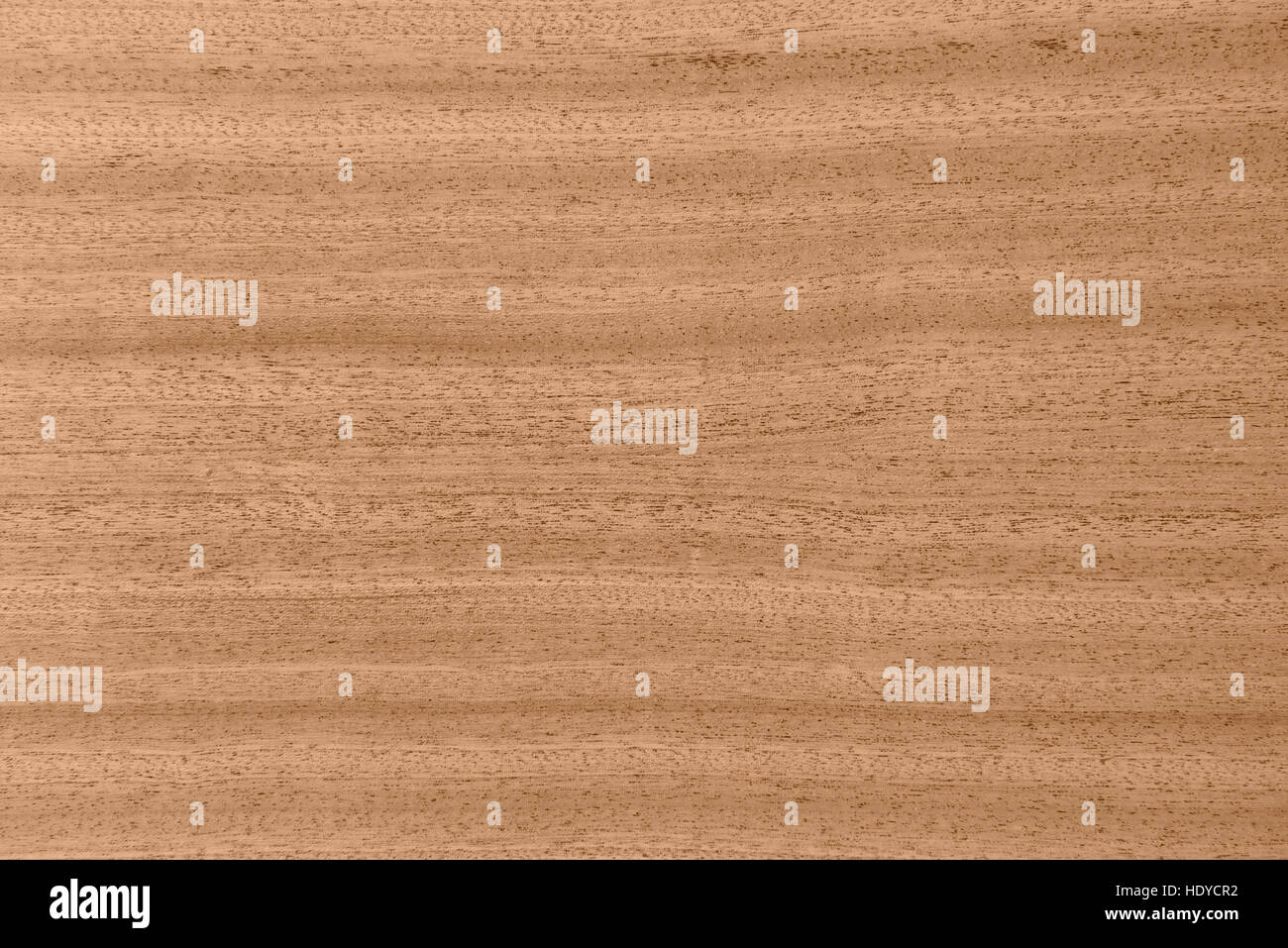 Texture of wood background Stock Photo