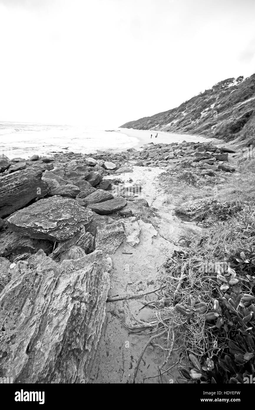 blur in south africa   sky ocean  isimagaliso reserve nature and rocks Stock Photo