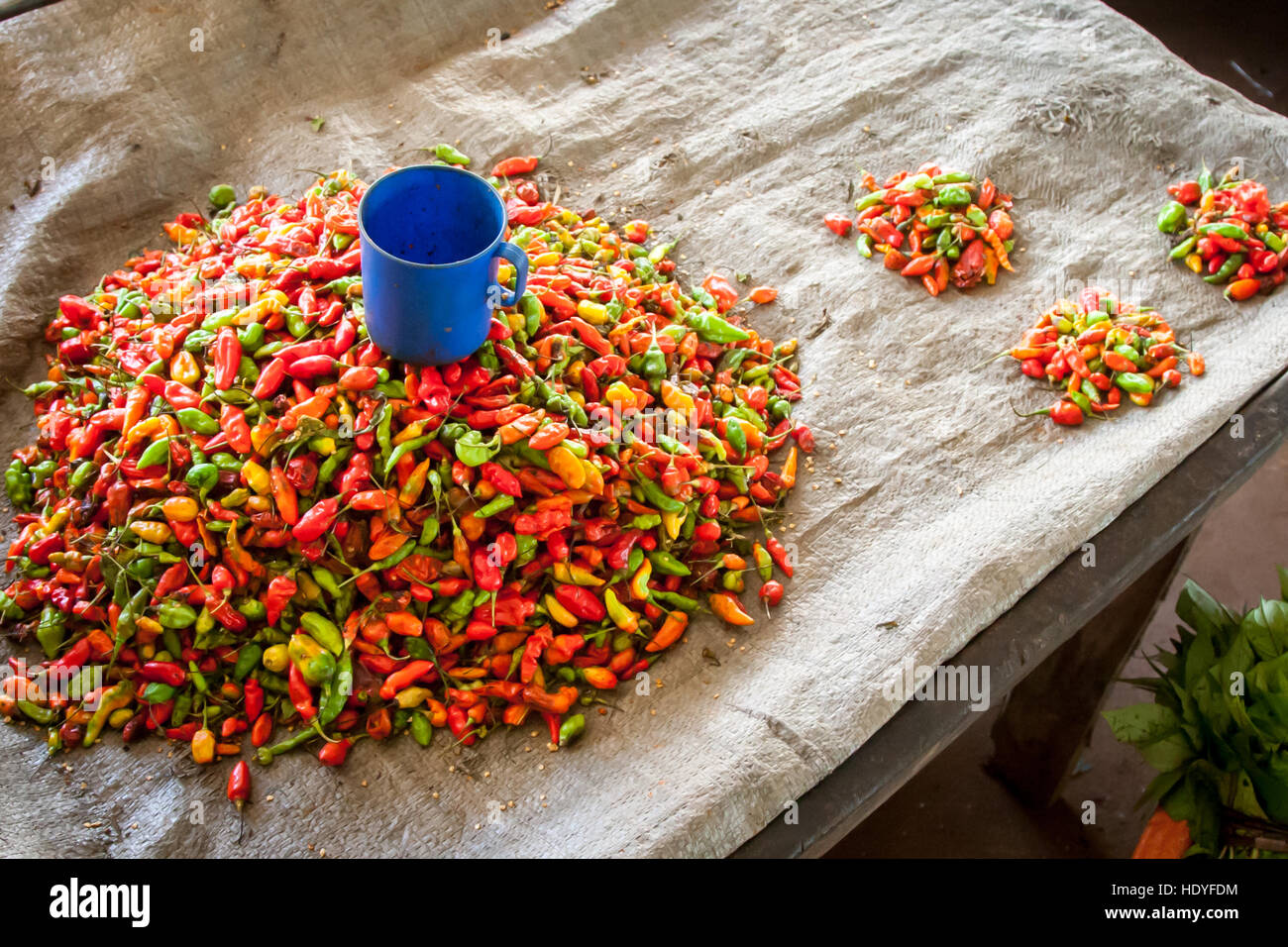 Fresh hot chilli peppers in a market of Sierra Leone Stock Photo