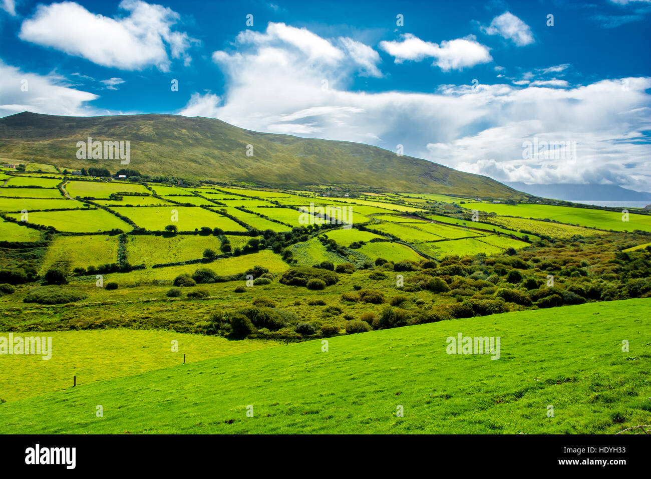 Rural Landscape With Pastures In Ireland Stock Photo - Alamy