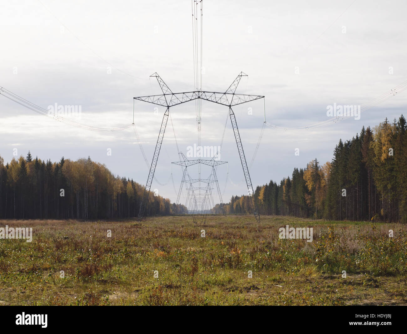 Glade  in the autumn forest with the supports of power lines. Stock Photo