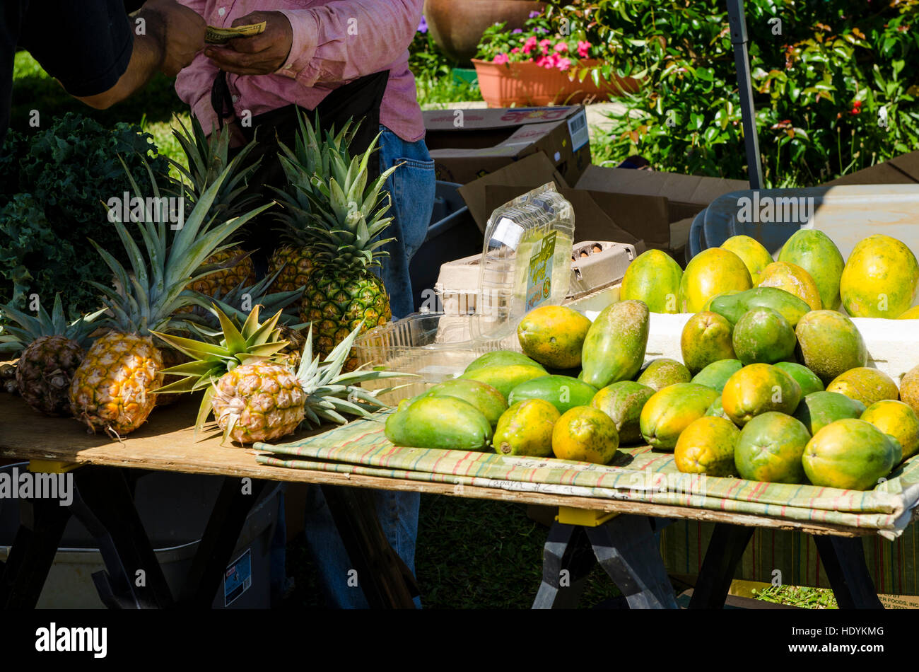 Farmers market Hanalei, Kauai, Hawaii Stock Photo Alamy