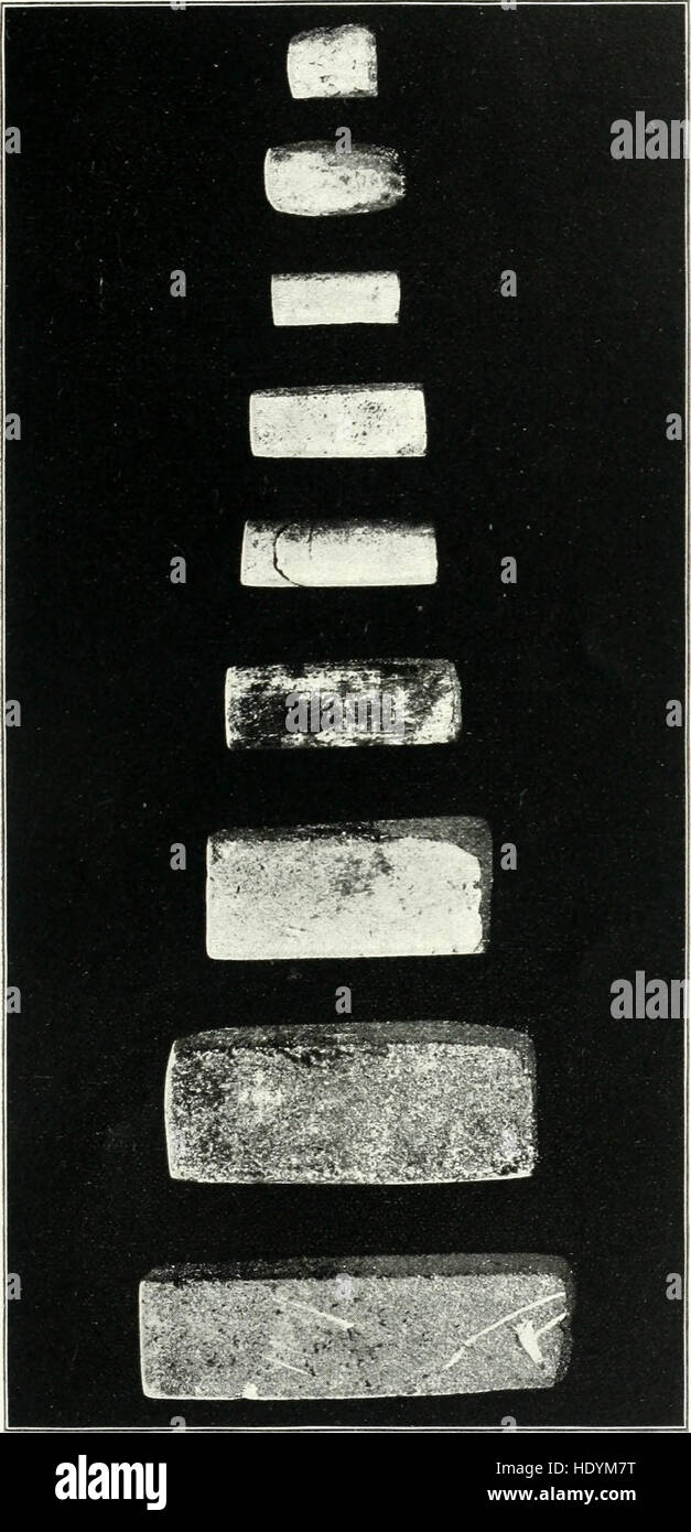 ArchC3A6ological investigations on the island of La Plata, Ecuador (1901) Stock Photo