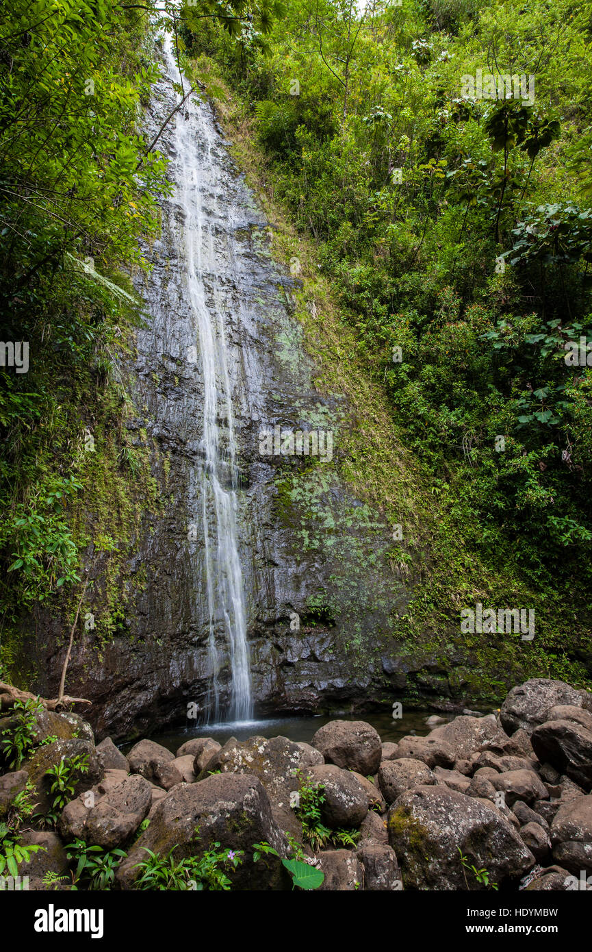 Manoa Falls, Honolulu, Oahu, Hawaii. Stock Photo