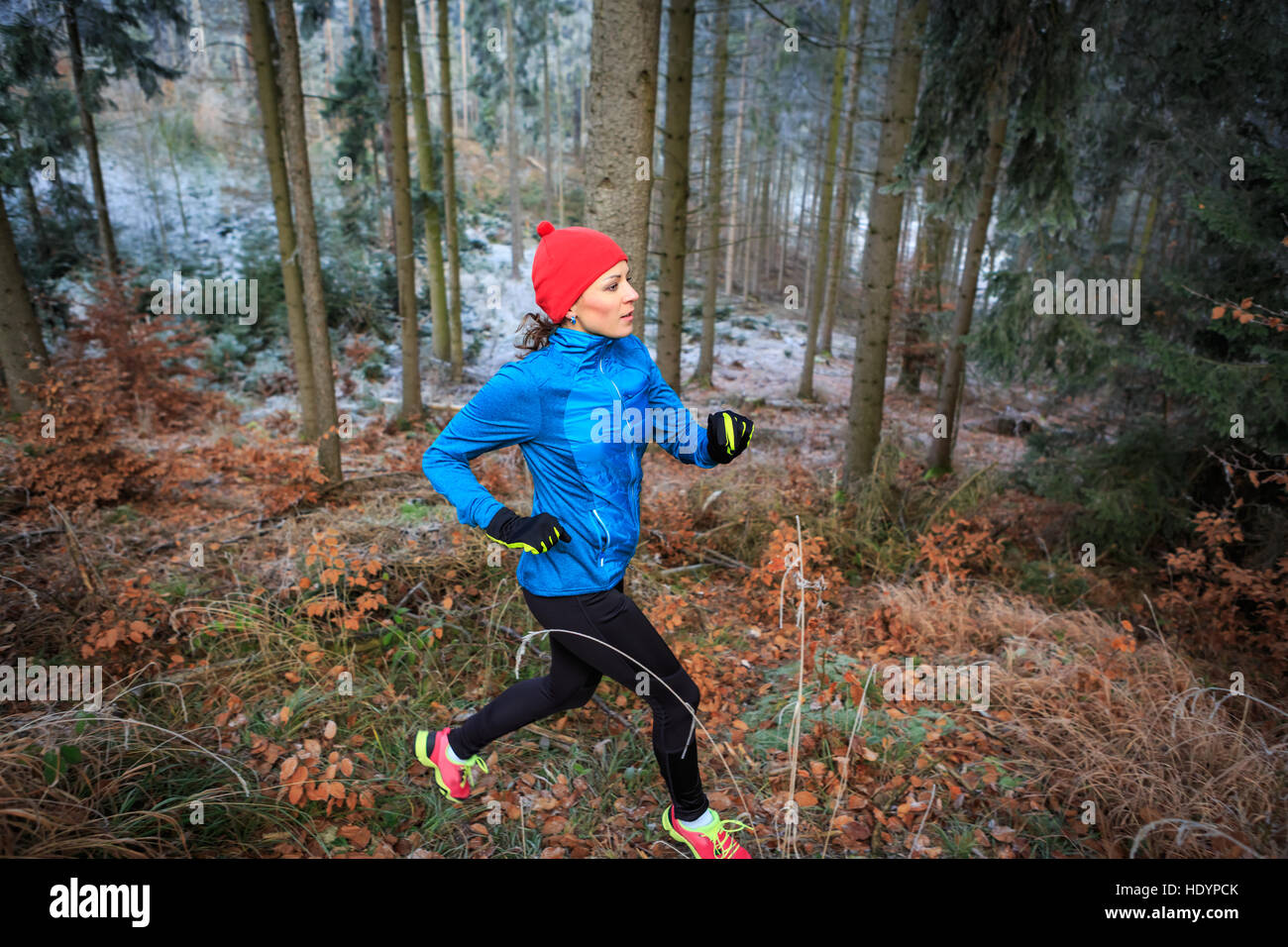 a young woman jogging in the wintry forest Stock Photo - Alamy