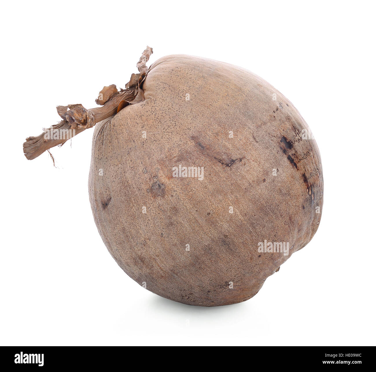 Dry coconut hires stock photography and images Alamy