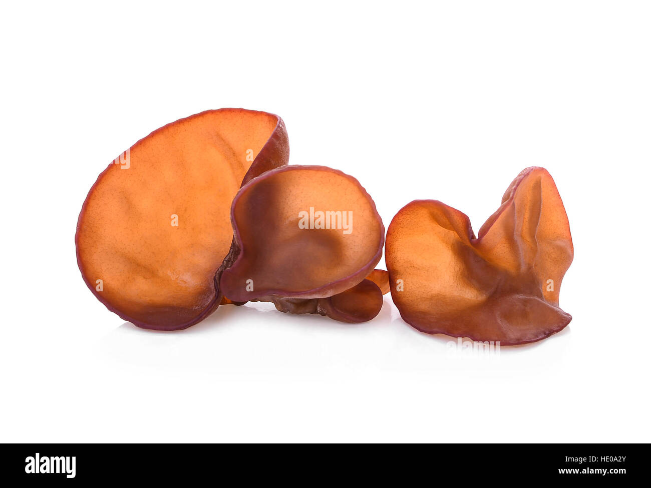 ear mushroom isolated on white Stock Photo Alamy