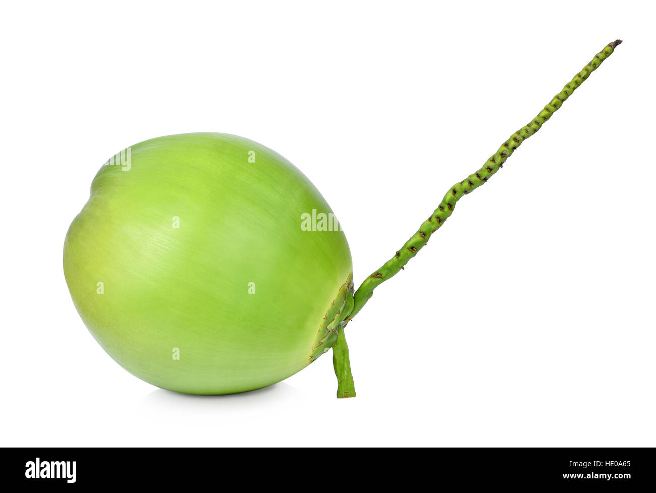 Green coconuts isolated on white Stock Photo Alamy