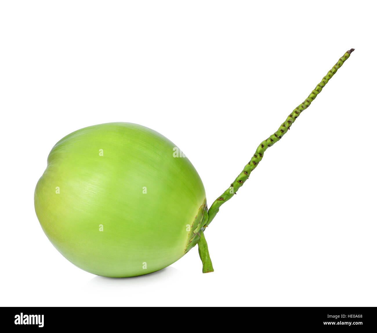 Green coconuts isolated on white Stock Photo Alamy