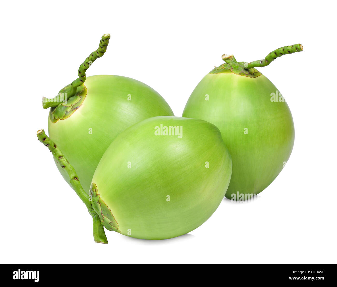 three fresh green coconuts isolated on white Stock Photo Alamy