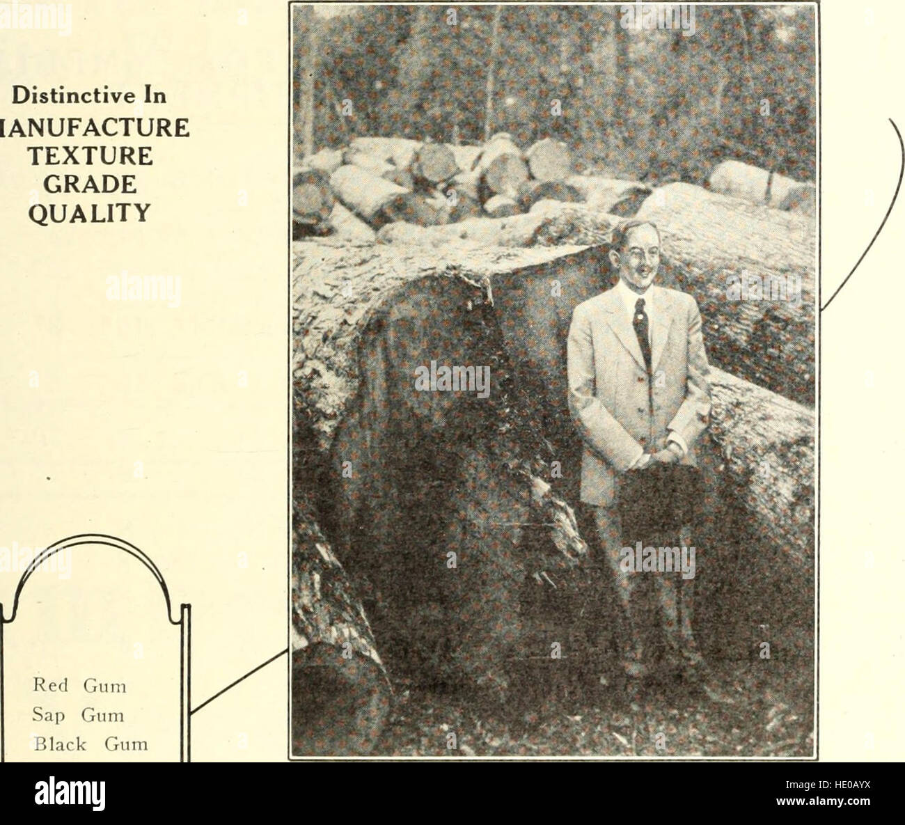 Canadian wood products industries (1922 Stock Photo Alamy