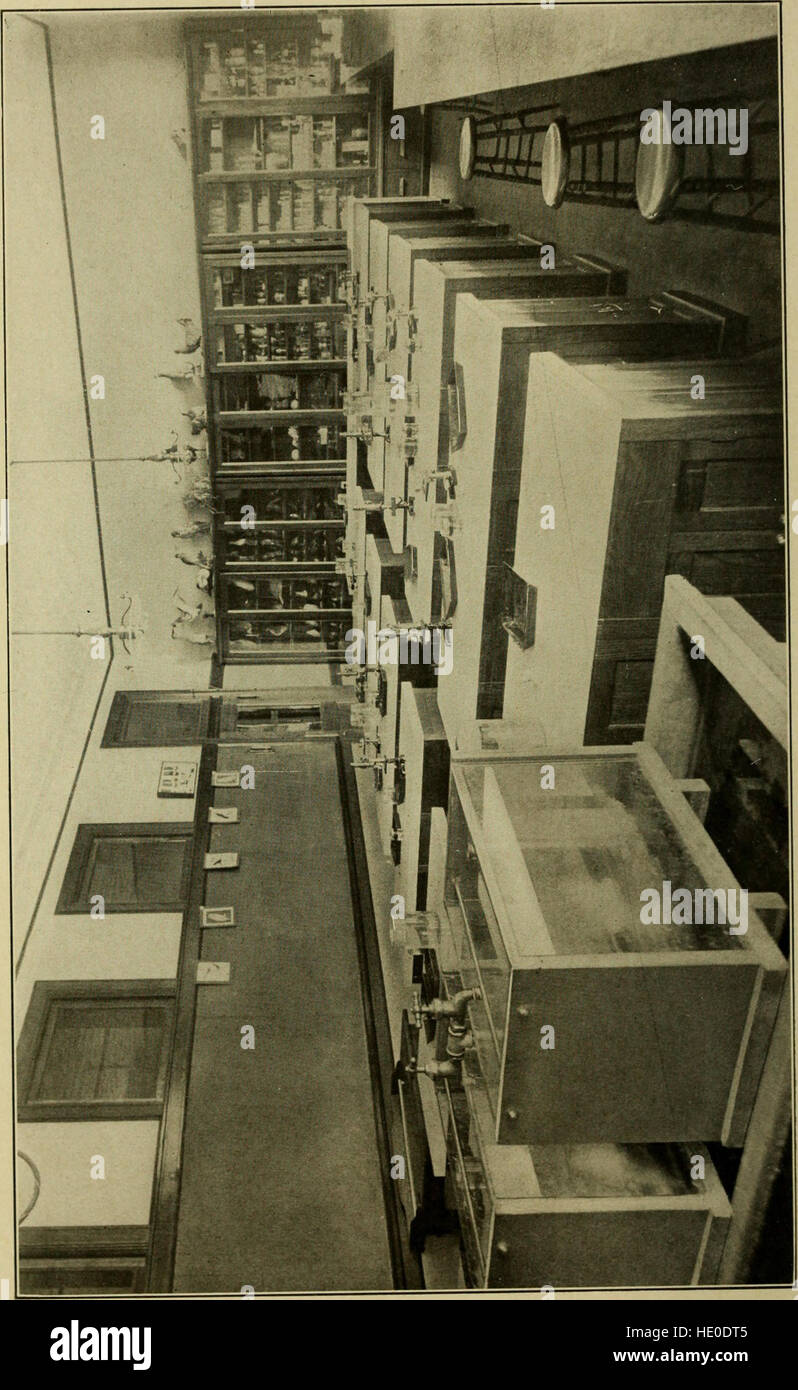 This 1910 catalog provides detailed information on the programs