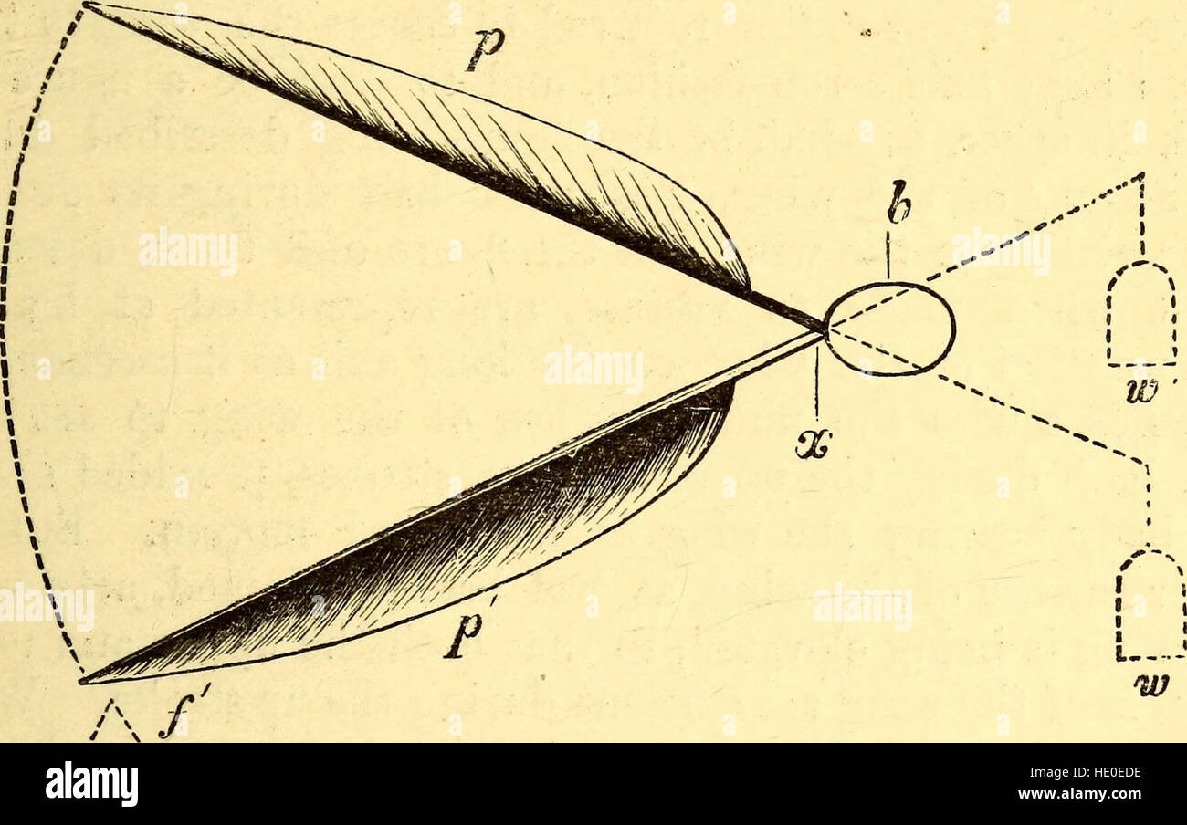 This 1874 work explores the mechanics of animal movement, including ...