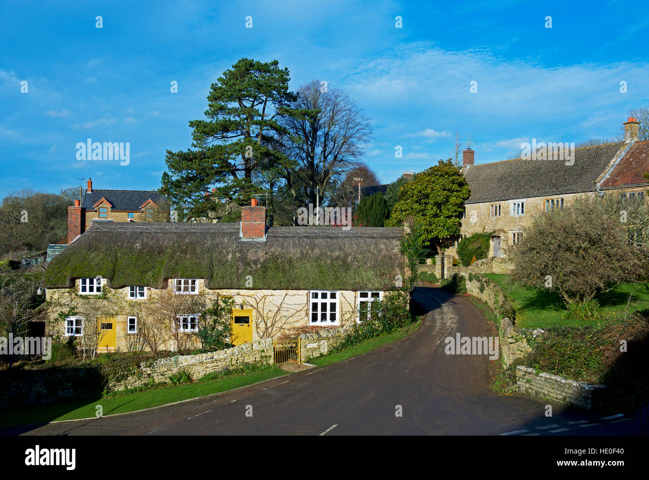 Thatched cottage in the village of Powerstock, Dorset, England UK Stock