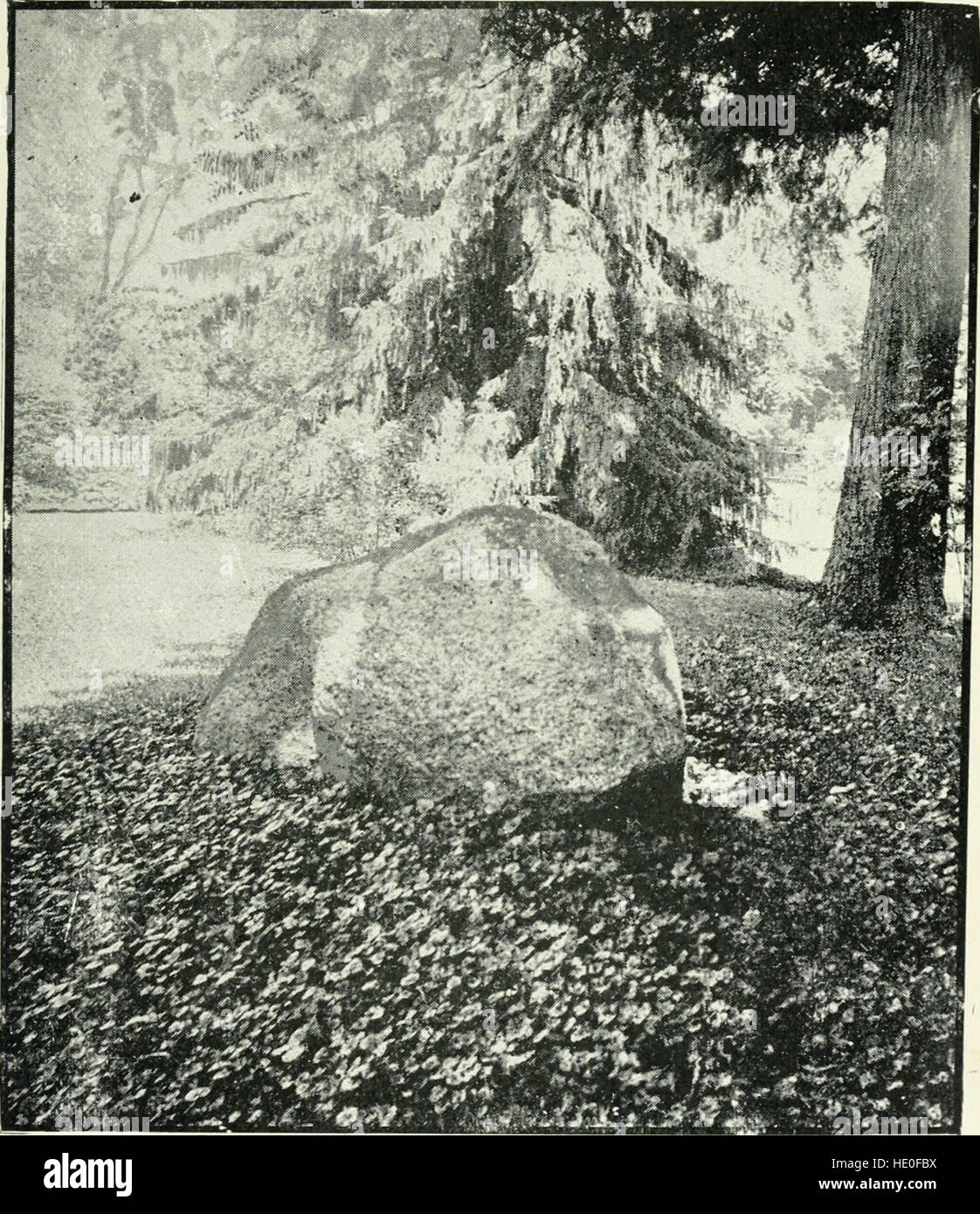 Outline history of Utica and vicinity (1900 Stock Photo Alamy