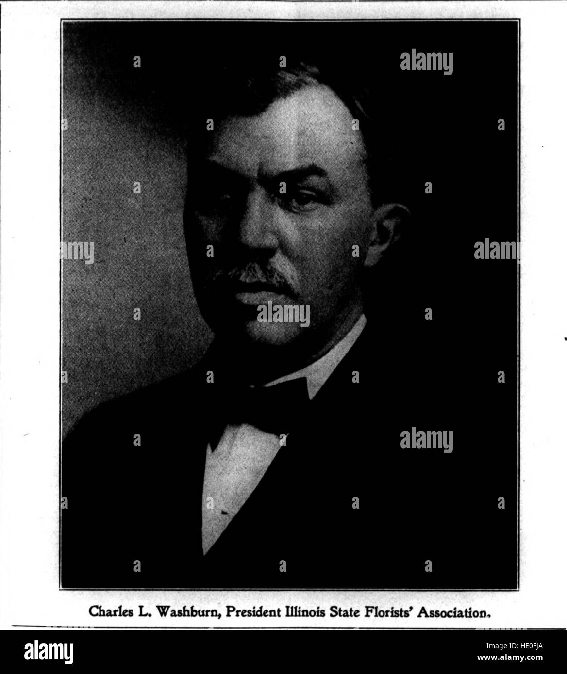 Florists' review (microform Stock Photo Alamy