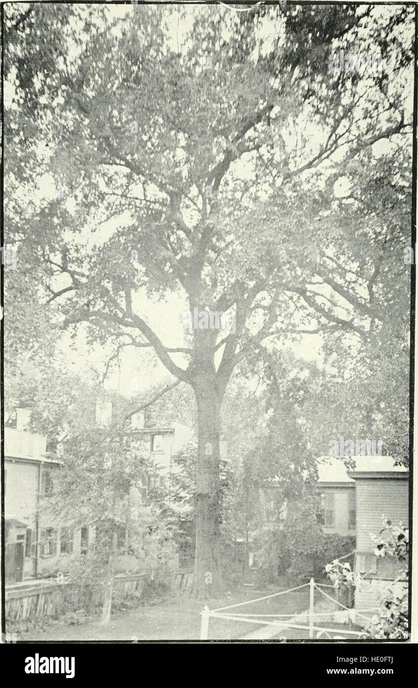 Outline history of Utica and vicinity (1900 Stock Photo Alamy