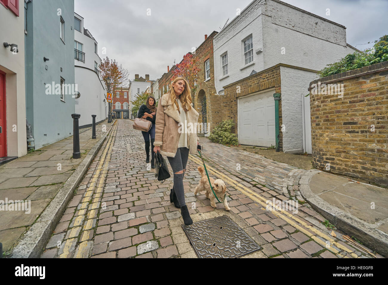 woman walking dog,   Young woman with dog. Stock Photo