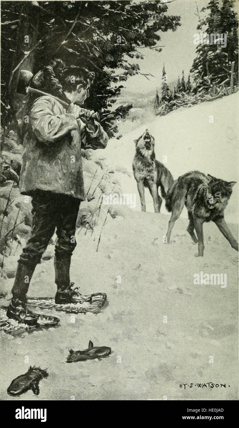 A story about a group of individuals stranded in a wilderness setting ...
