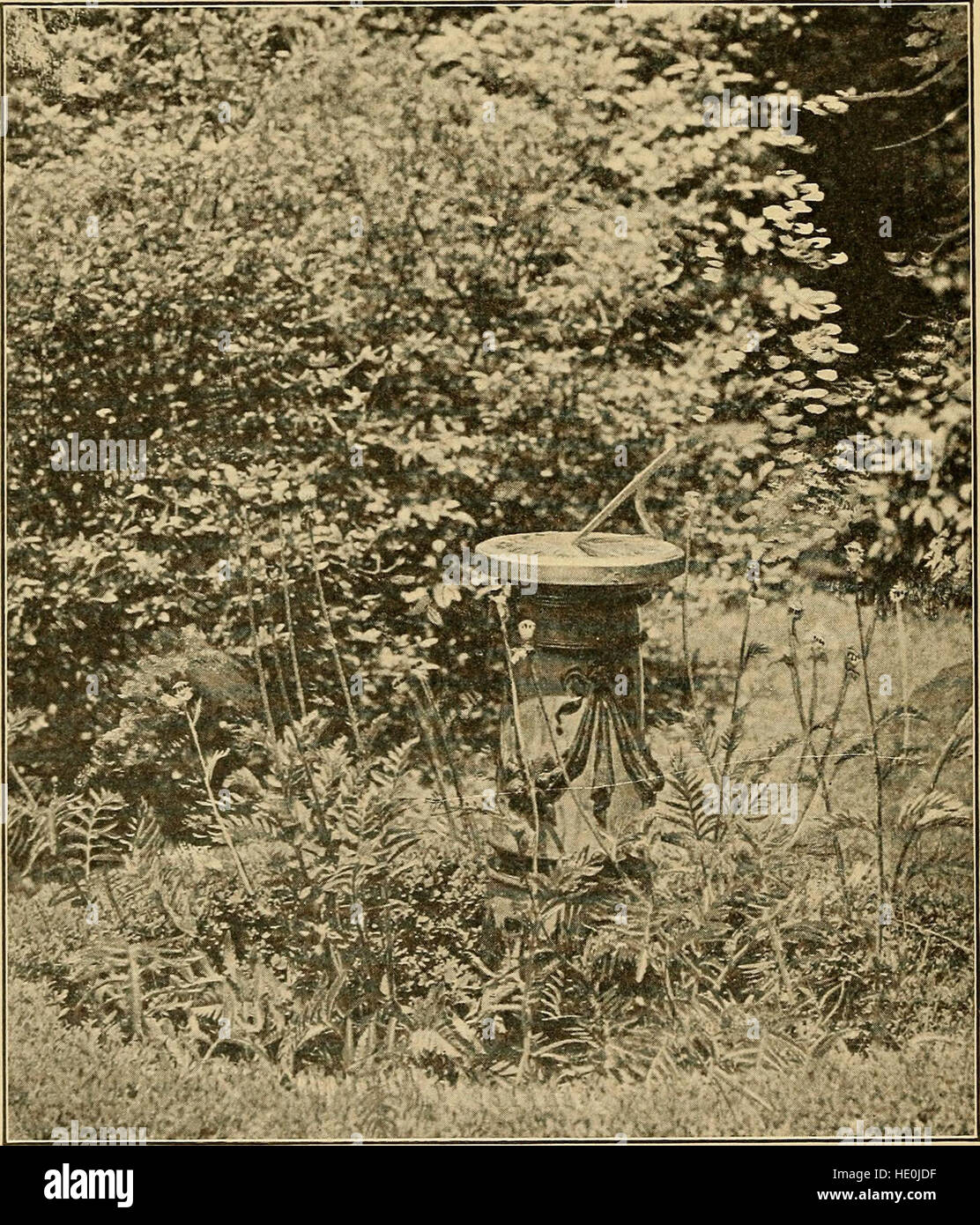 Sun dials and roses of yesterday; garden delights which are here displayed in every truth and are moreover regarded as emblems (1902) Stock Photo