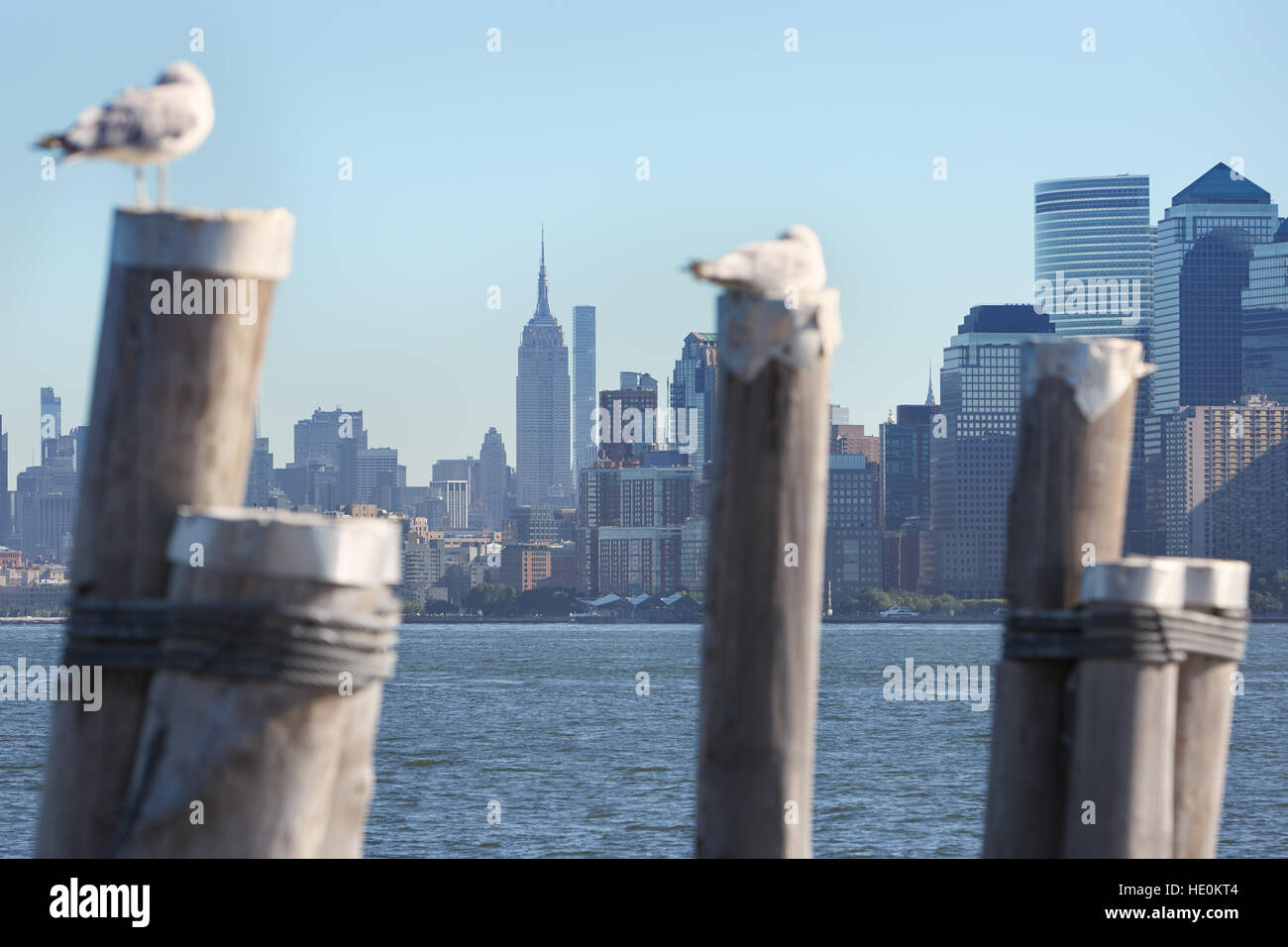 Empire State Building and New York city skyline and pier poles with seagulls in a sunny day Stock Photo